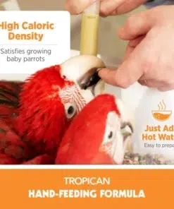 best hand feeding formula for baby birds