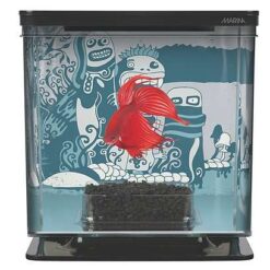 Marina Betta Kit4