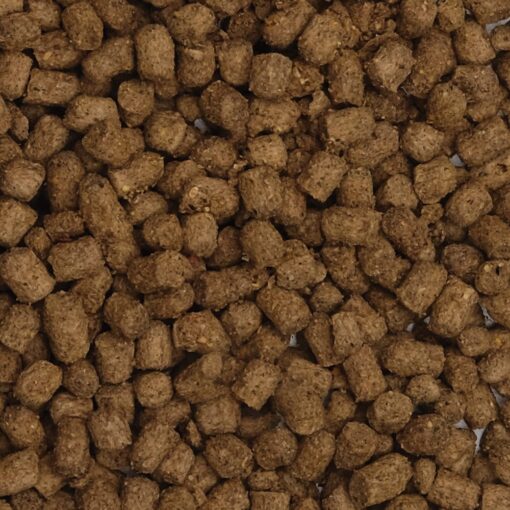 BugBites Pellets