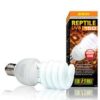 reptile uvb150 26w 2189
