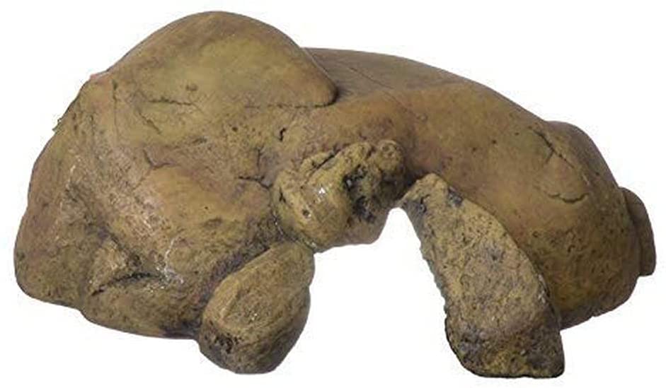 Hide And Seek! Exo Terra's Rock Outcrops Are The Perfect