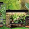 natural terrarium large