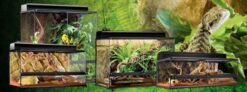 natural terrarium large