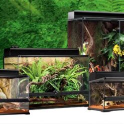 Exo Terra : Natural Terrarium Large / Advanced Reptile Habitat