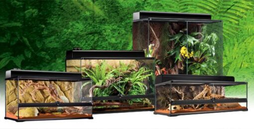 Exo Terra : Natural Terrarium Large / Advanced Reptile Habitat