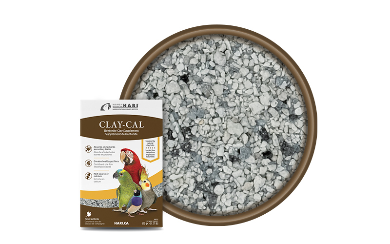 Clay-Cal Calcium Enriched Clay Supplement for Birds 575 g (1.27 lb) » Maplepets