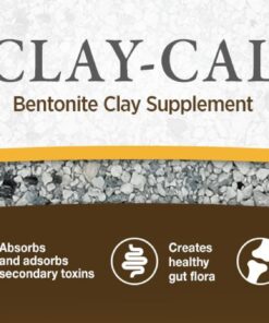 Claycal banner 1500x450 EN