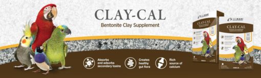 Claycal banner 1500x450 EN