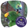 Foragers SocialMedia 2 FlockApproved Chilli EN Web e1655738187944