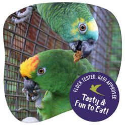 Foragers SocialMedia 2 FlockApproved Chilli EN Web e1655738187944