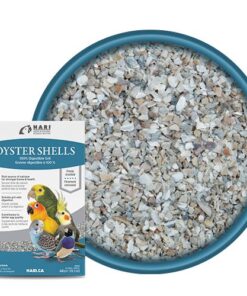 oyster shells 800x500