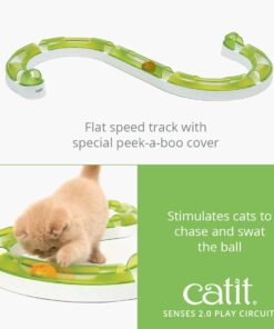 43154W Play Circuit product 1