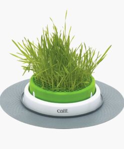 43161W Grass Planter product thumbnail