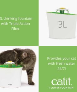 43742W flower fountain product 2