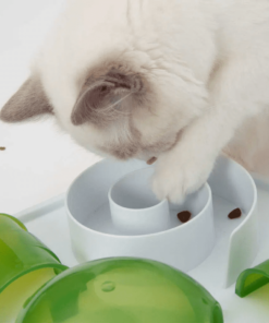 activities to have fun 2 1024x1024.jpg