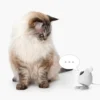 43758 Catit PIXI Smart Mouse Camera with cat text bubble 1024x1024.jpg