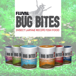 Fluval: First choice of every fish hobbyist