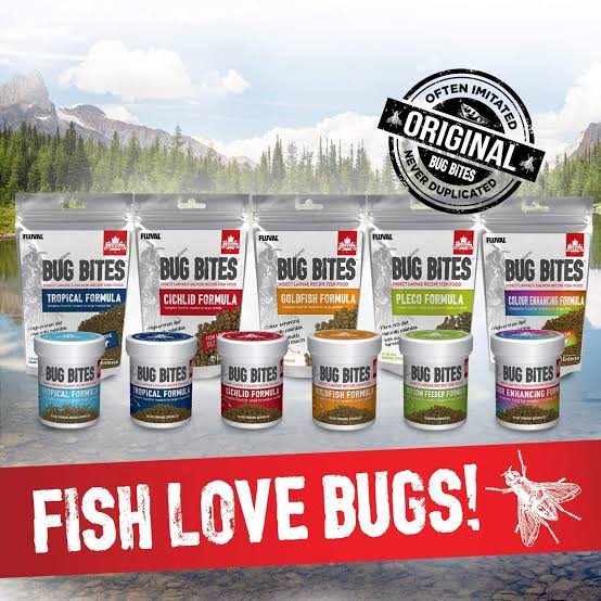 Fluval Bug Bites