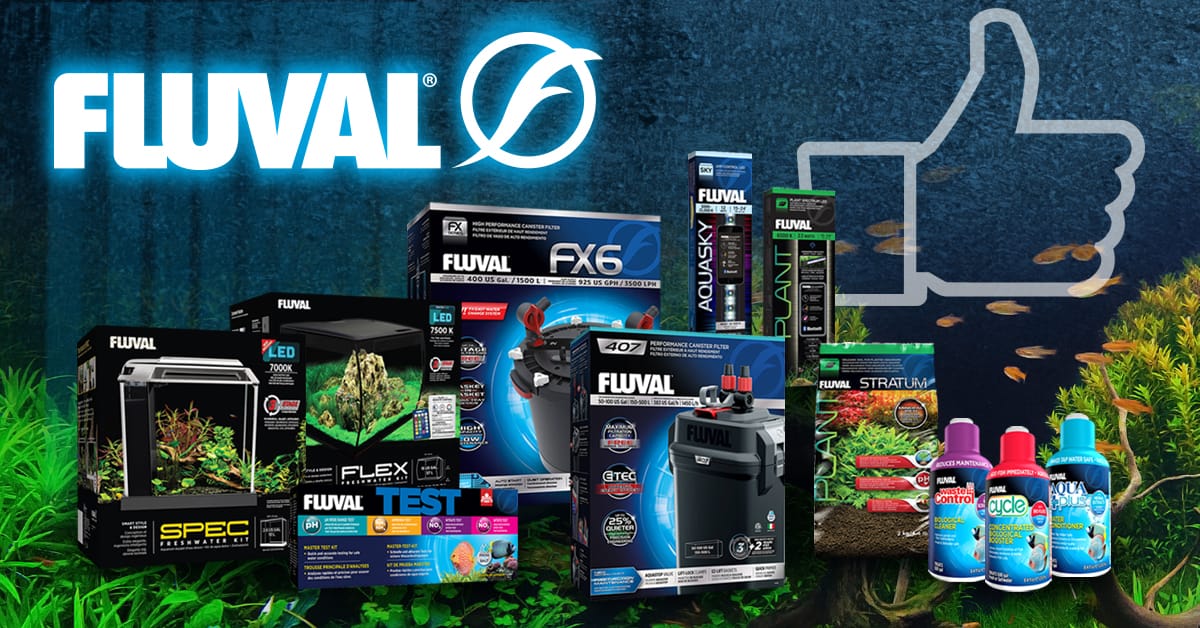 Fluval A world leading brand in aquatic industry. » blog