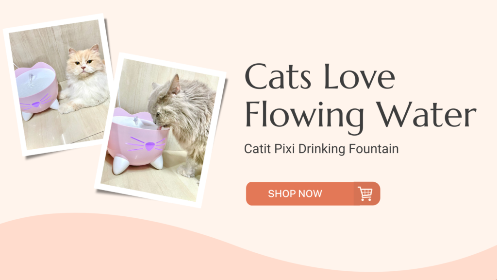 https://www.maplepets.in/product/catit-pixi-fountain-white/