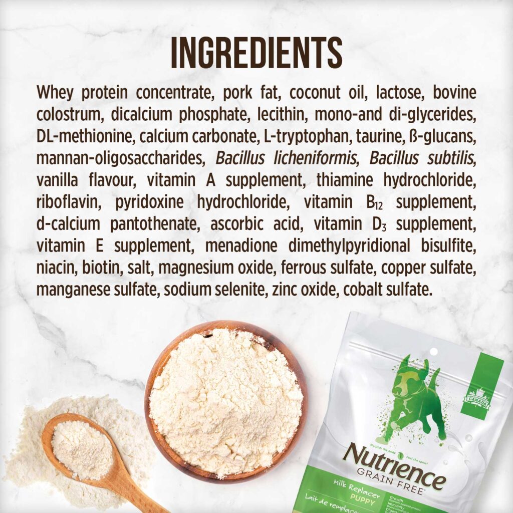 Nutrience Puppy Milk Replacer