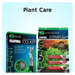 Plant care