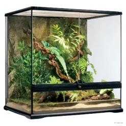 Exo-Terra Paludariums Natural Terrarium Medium Tall 2'WX1.5'Dx2'H 60*45*60 cm