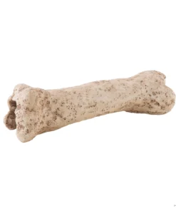 Dinosaur Bone
