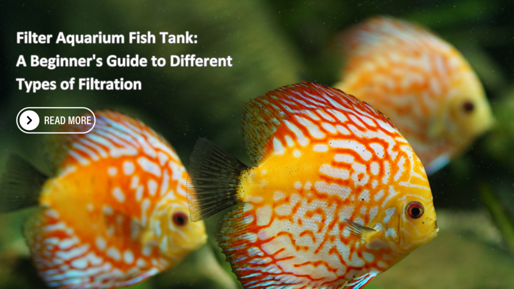 Filter Aquarium Fish Tank