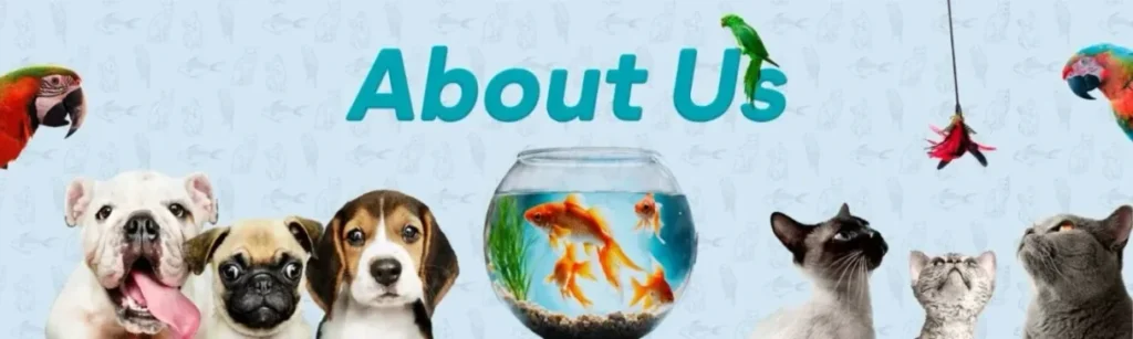 Maple pets - About us