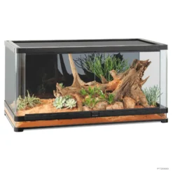 Exo Terra Vista 120XL Terrarium & Paludarium