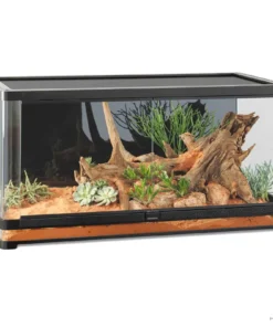 Vista 120