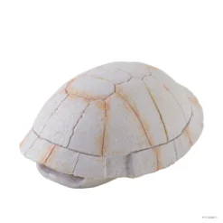 Tortoise Skeleton Secure Hiding Place