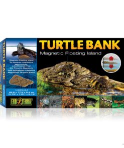Turtle Bank Medium