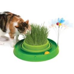 play-circuit-ball-toy-with-cat-grass