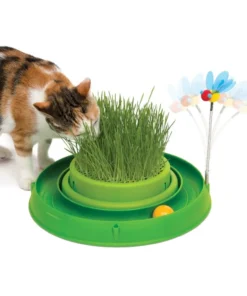 play-circuit-ball-toy-with-cat-grass