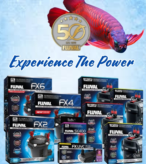 Experience The Power