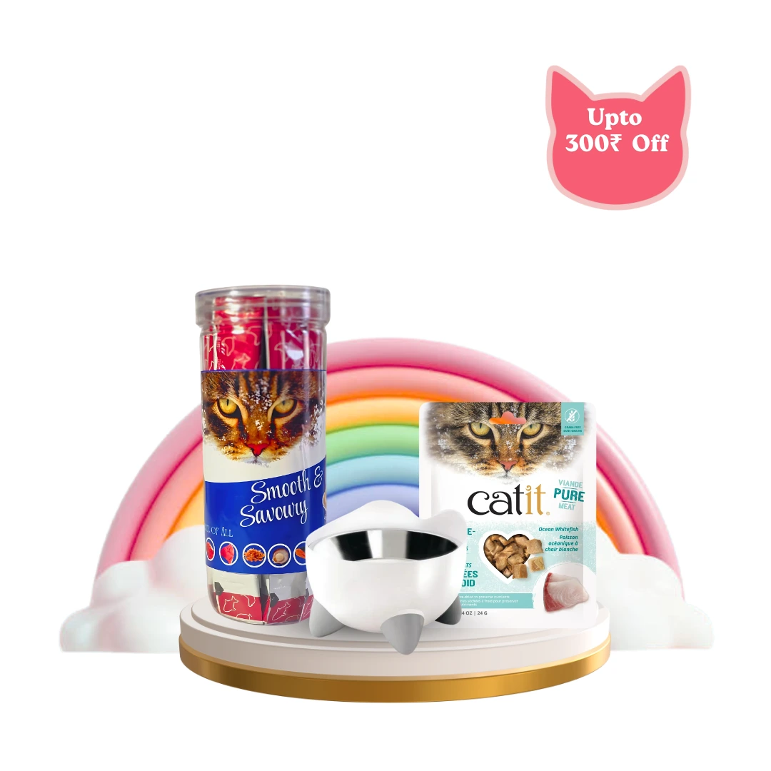 catit combo , best cat treats , best feeding dish