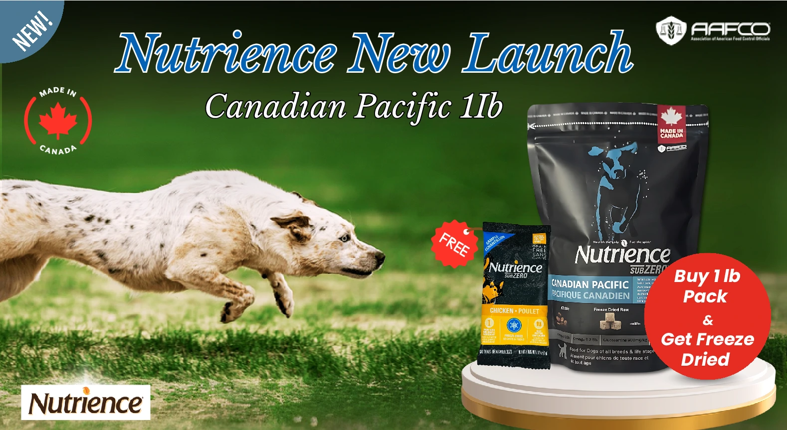 website short maple banner