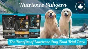 Nutrience 1 lb