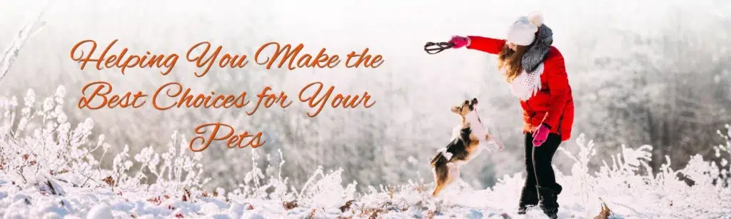 MPI F&Q website banner (2)