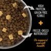 Nutrience SubZero Fraser Valley best cat food in India high protein grain free cat food