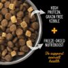 Good Dog food brands
