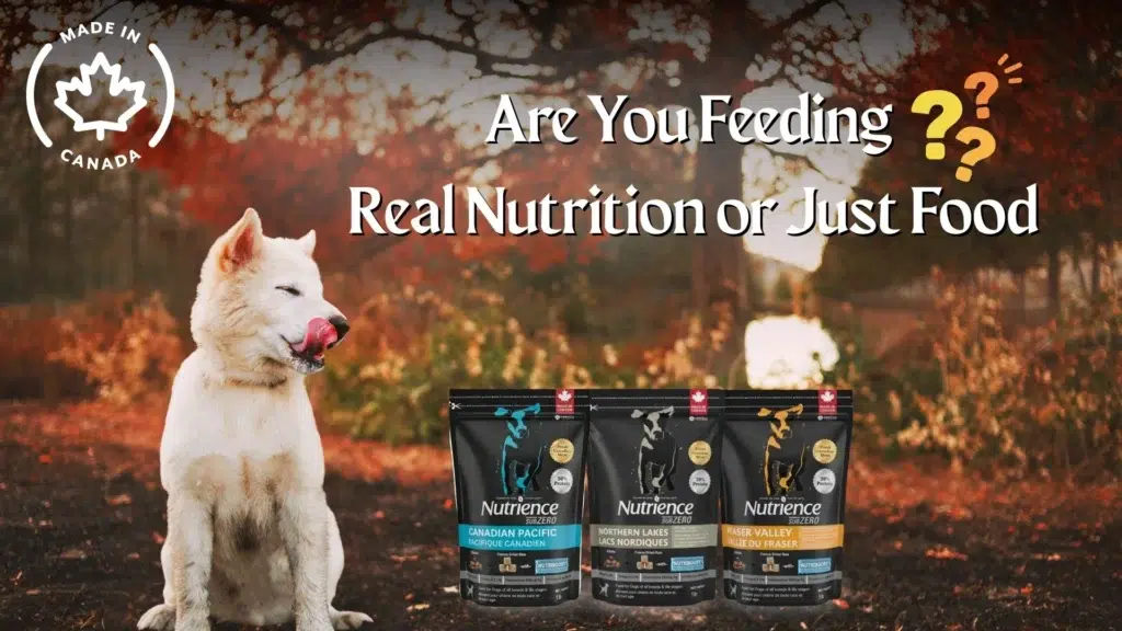 nutrience 1lb banner