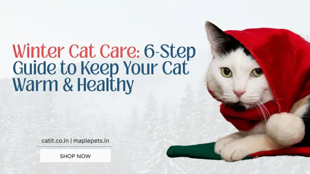 winter cat care