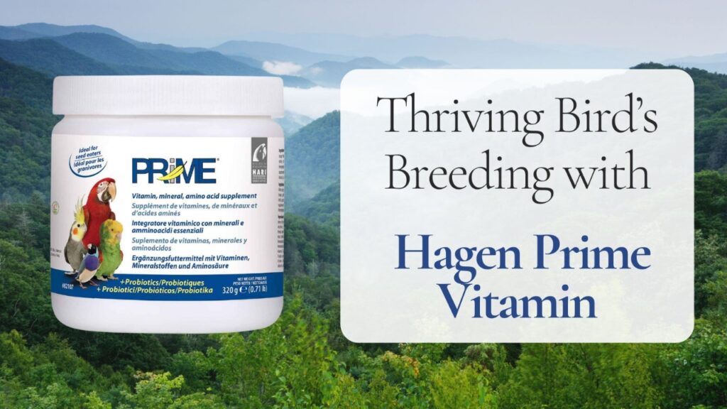 bird breeding supplements for chick health