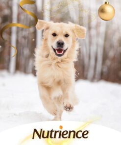 Nutrience