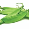 pea husk