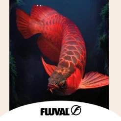Fluval