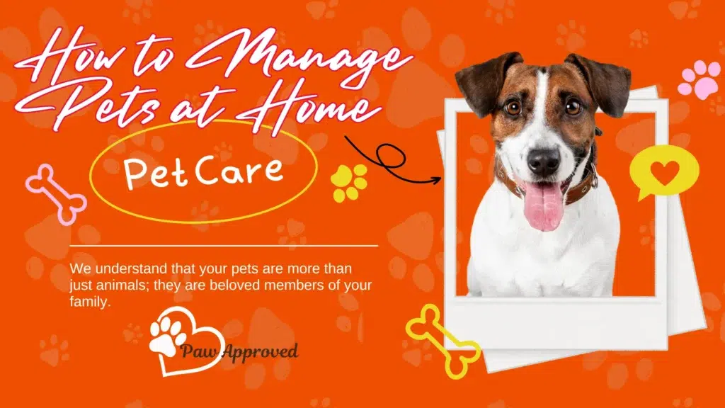 Pet care at home for healthy and happy pets